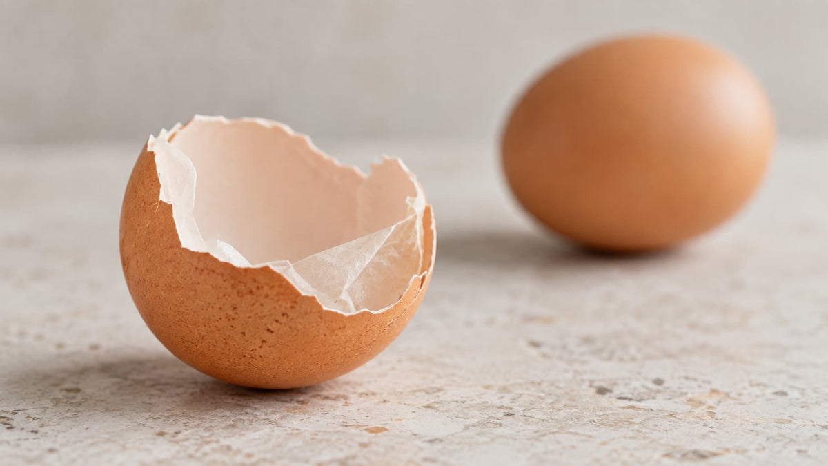 Can You Use Eggshell-Derived Nano-hydroxyapatite if You Have an Egg Allergy?