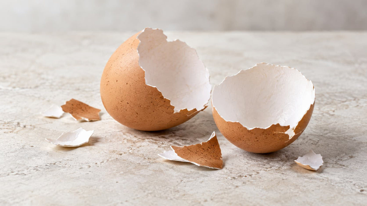 Is Eggshell Nano-Hydroxyapatite Made From Real Eggshells?
