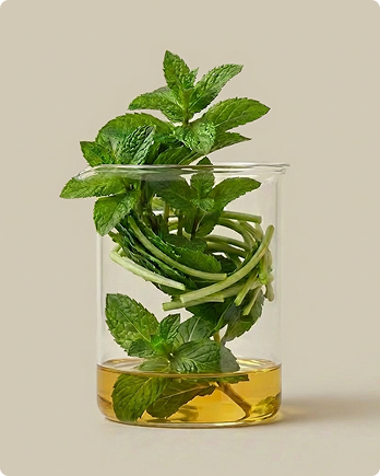 Peppermint