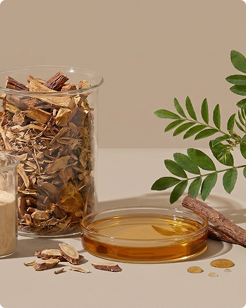 Chinese Licorice Root Extract
