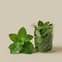 Spearmint