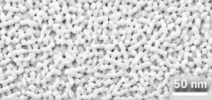 PREMIUM PHARMACEUTICAL GRADE nHAp